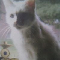 Profile Picture of Dusty Singleton (@dusty.singleton.18) on Myspace