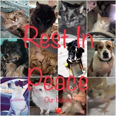 Profile Picture of Shawn Hatfield (@@shawnhatfield0) on Tiktok