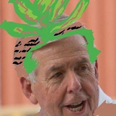 Profile Picture of Governor Mike Parsnip, Paid @MissouriGOP Operative (@LegRouge) on Twitter
