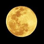 Shinichi Taniguchi - Instagram Profile Picture of Shinichi Taniguchi (@markey.41) on Instagram