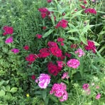 Profile Picture of Michael Radowitz (@michael.radowitz.9) on Facebook