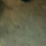 Profile Picture of Carolyn Cooley (@cooley.carolyn) on Instagram