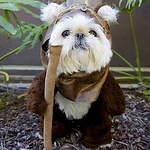 Profile Picture of Darren Neal (@darrensphoto) on Flickr