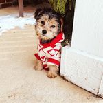 Profile Picture of Ruby Boyle (@boyle.ruby) on Instagram