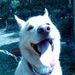 Profile Picture of Andrew Worden (@andrewcworden) on Pinterest