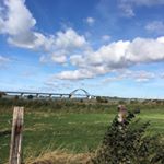 Profile Picture of Iris Frank (@irisf101) on Instagram