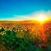 Profile Picture of T Khodapanah (@t-khodapanah) on Quora