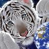 Profile Picture of billycobbs702 (@@billycobbs702) on Tiktok