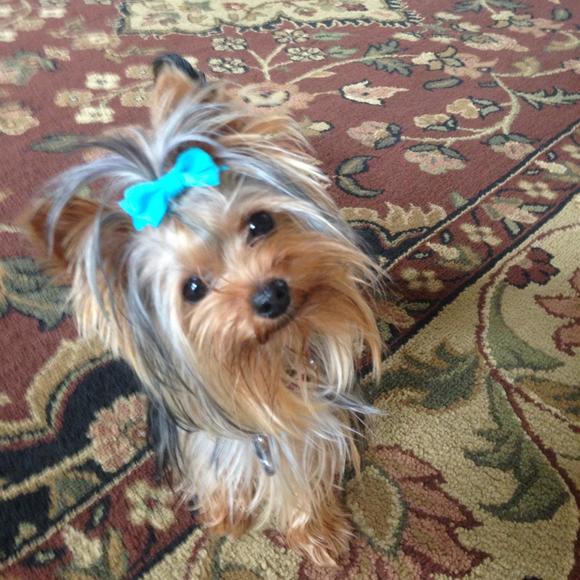 Lori Scherl erdodi - Poshmark Profile Picture of Lori Scherl erdodi (@lscherl) on Poshmark