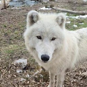 Profile Picture of Paula Allen (@paulaallen3022) on Youtube