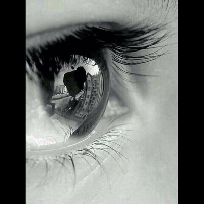 Qiqing Qiu - Twitter Profile Picture of Qiqing Qiu (@QingQi2016) on Twitter