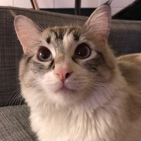 Profile Picture of Jason Shi (@jason-shi-43) on Quora