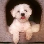 Profile Picture of Doris genser (@dorisgenser) on Instagram