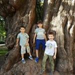 Profile Picture of Edith Cohen (@edith.cohen.921) on Instagram