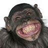 Profile Picture of Gary Hellier (@@garyhellier) on Tiktok