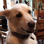 Profile Picture of Jeremy (@jeremysiegel721) on Instagram