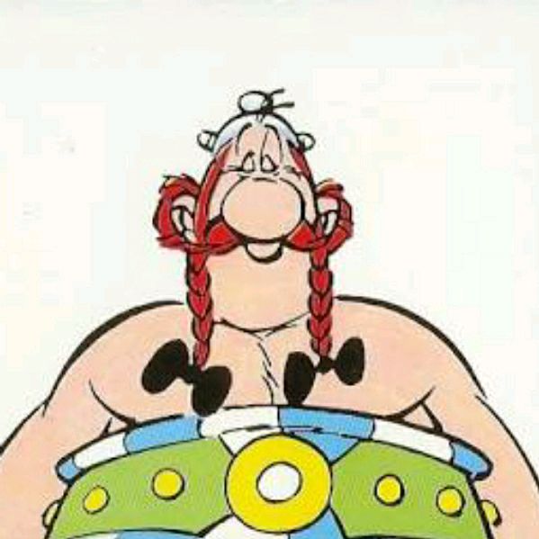 Profile Picture of Peter McShane (@obelixthegauls) on Tiktok