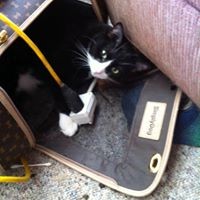 Profile Picture of Amanda Fitton (@amanda-fitton) on Quora