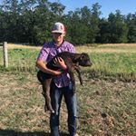 Profile Picture of Beau Shaffer (@beau.shaffer) on Instagram