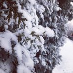 Profile Picture of Ellen Tangen Bäckman (@beckman_000) on Instagram