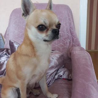 Profile Picture of Danuta Lewicka (@lewicka_danuta) on Instagram