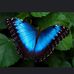 Profile Picture of Sherry Mulholland (@Sherry-Mulholland) on Facebook