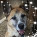 Profile Picture of Julie Winchell (@julie.winchell.1) on Facebook