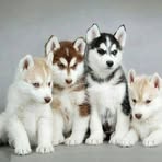 Profile Picture of Eleanor Dupree (@eleanor.dupree.5876) on Facebook