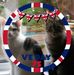 Profile Picture of Janet Rayner (@janet.rayner.35) on Facebook