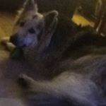 james.presdee - Instagram Profile Picture of james.presdee (@james.presdee) on Instagram