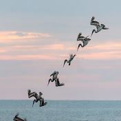 Profile Picture of Eric Tilson Photography (@erictilsonphotography) on Youtube