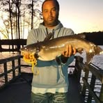 Profile Picture of Averrick James Lanier (@Averrick-James-Lanier) on Facebook