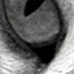 Profile Picture of Renae Christensen (@rentodd) on Flickr