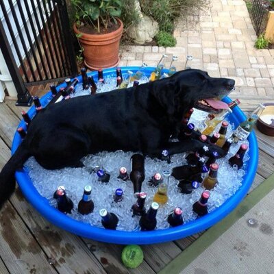 Profile Picture of Peter Bostrom (@PBostro) on Twitter