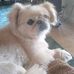 Profile Picture of Betty King DeRego (@betty.derego) on Facebook