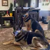 Profile Picture of _John_Tucker_ (@_john_tucker_) on Tiktok