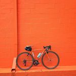 Profile Picture of Scott Shire (@bahamontes) on Instagram