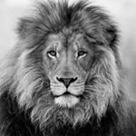 Profile Picture of | Cologne ➿ Aachen | (@david.loewe) on Instagram