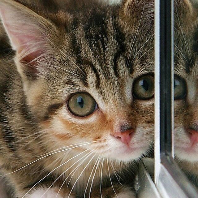 Profile Picture of randyheiner763 (@randyheiner763) on Tiktok