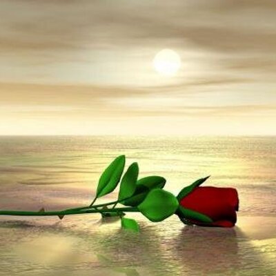 Profile Picture of Kenneth Alvarez (@ken_67078) on Twitter