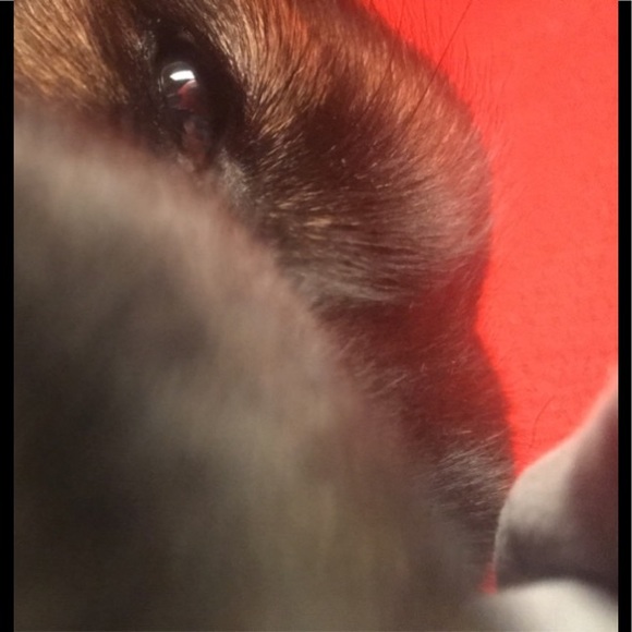 Profile Picture of Braxton Povick (@braxtonpovick) on Poshmark