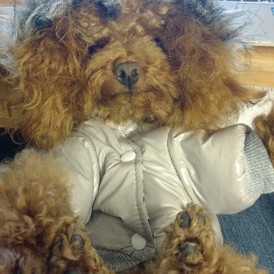 Profile Picture of Ryan Zhang (@ryanzhang_oss) on Twitter