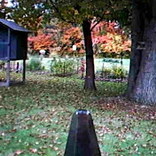 Profile Picture of Derek Schwartz (@dspoon19) on Youtube