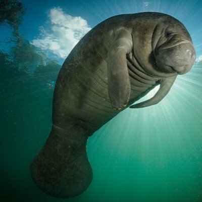 Profile Picture of Steve Brimmer (@sbrimmer68) on Twitter