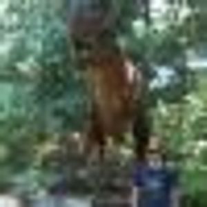 Profile Picture of Matt Adamson (@177914494) on Myspace