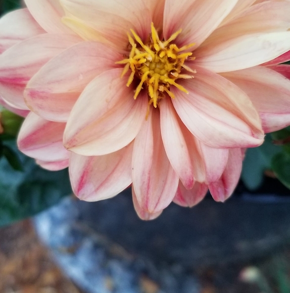 Profile Picture of Kathy Lampman (@kathylampman) on Poshmark