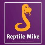 Profile Picture of Michael Cress (@reptile_mikes) on Instagram