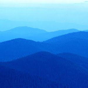 Profile Picture of Jeff (@jeffreyoaks) on Tiktok