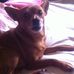 Profile Picture of Michael Wuest (@michael.wuest.391) on Facebook