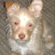 Profile Picture of Maria Amaro (@mariaamaro49) on Youtube